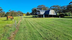 A horse grazing in a field with a modern barn structure. - Tennessee Hill Chalets (Lowlands)