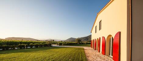 A building with a paved pathway leading to a red door, surrounded by a well-maintained lawn and a vineyard in the background.