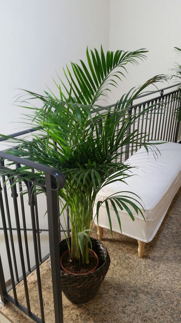 Una planta en maceta sobre la barandilla de una escalera, un sofá blanco y un piso de granito.