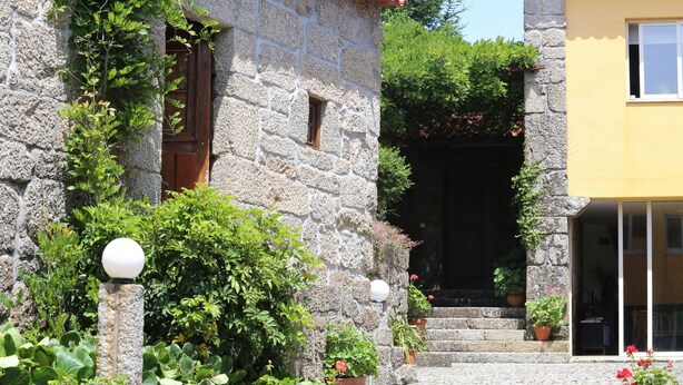 Un edificio de piedra con puerta y ventana de madera, rodeado de follaje y plantas en macetas.