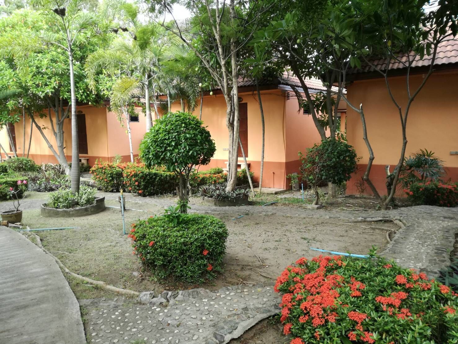 Un patio con diversas plantas y árboles, un camino empedrado y un edificio con techo de tejas al fondo.