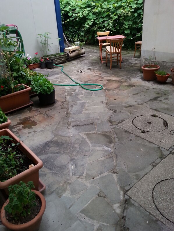 Cour