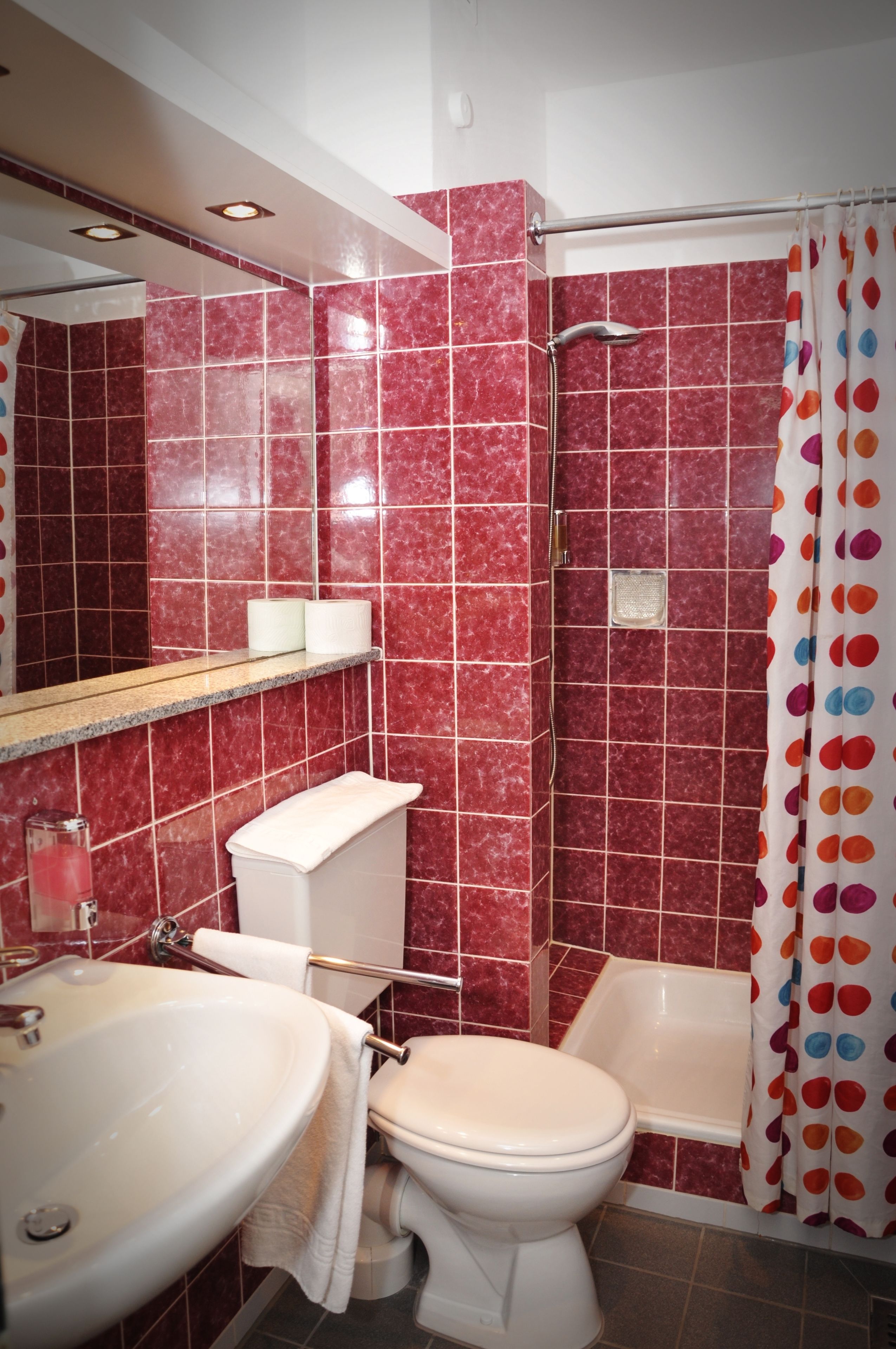 Une salle de bain avec des toilettes, un lavabo et une douche.