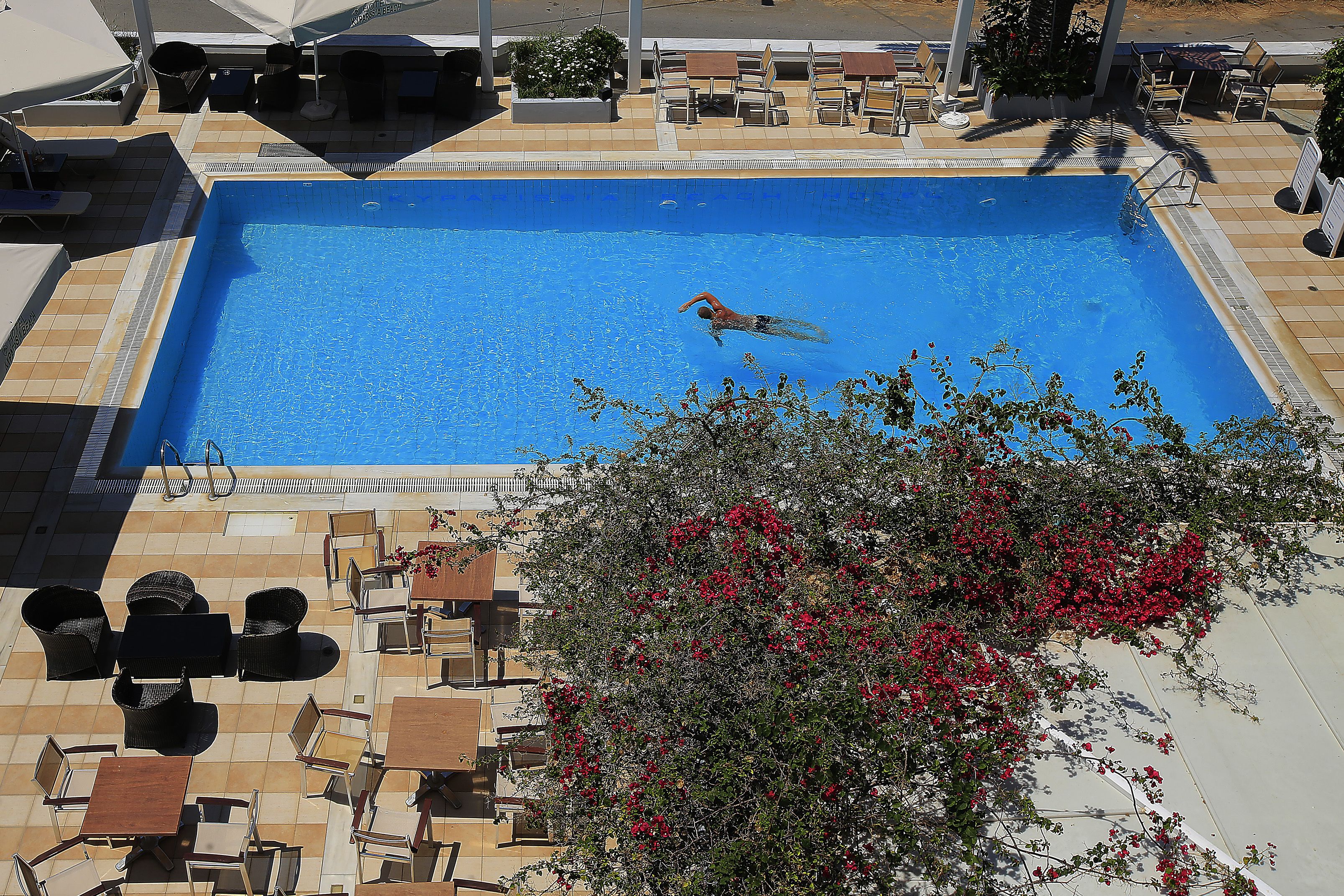 Una piscina con una persona nadando, rodeada de mobiliario de exterior y una planta con flores.