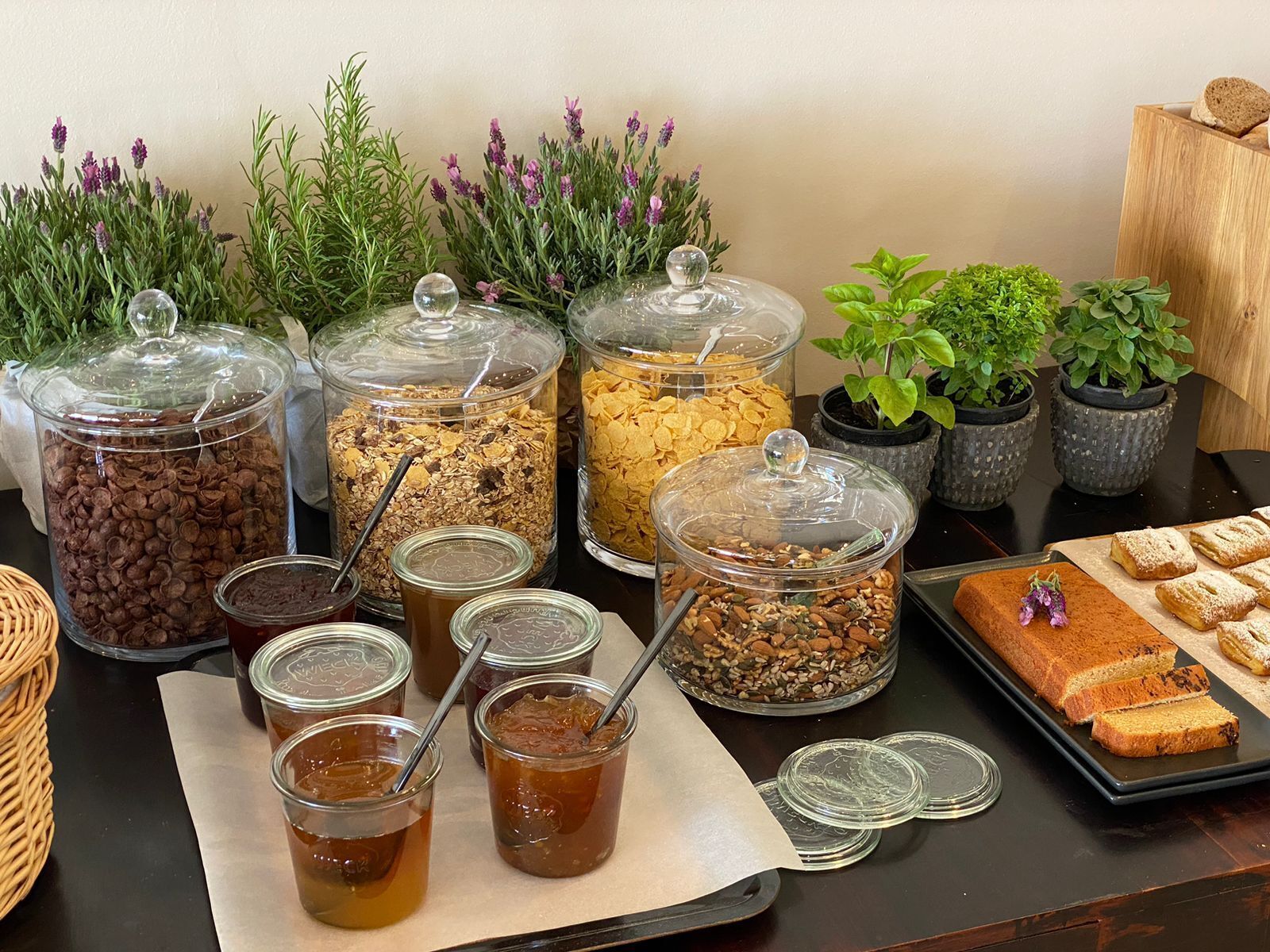 Una mesa de buffet con diversos alimentos, incluyendo tarros de granola, galletas y pasteles, junto con hierbas frescas y plantas en macetas.