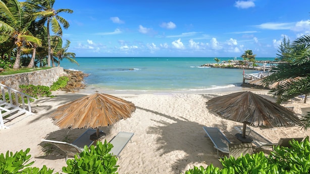 A beach with thatched umbrellas, lounge chairs, and palm trees. - Ocean Point Beach Resort & Spa - Adults Only (St. John's)
