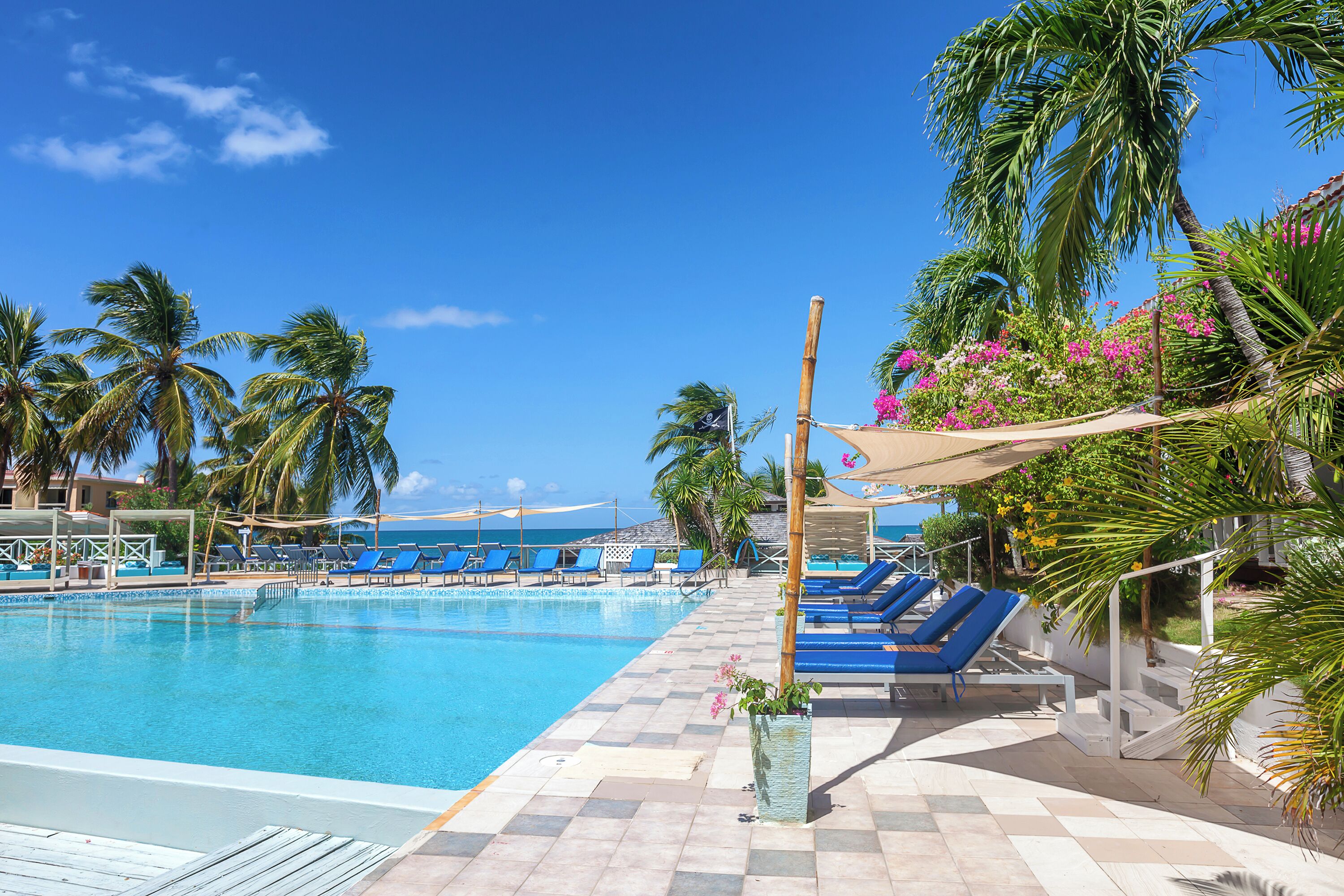 Un espace piscine avec des chaises longues bleues, une terrasse carrelée et des palmiers.
