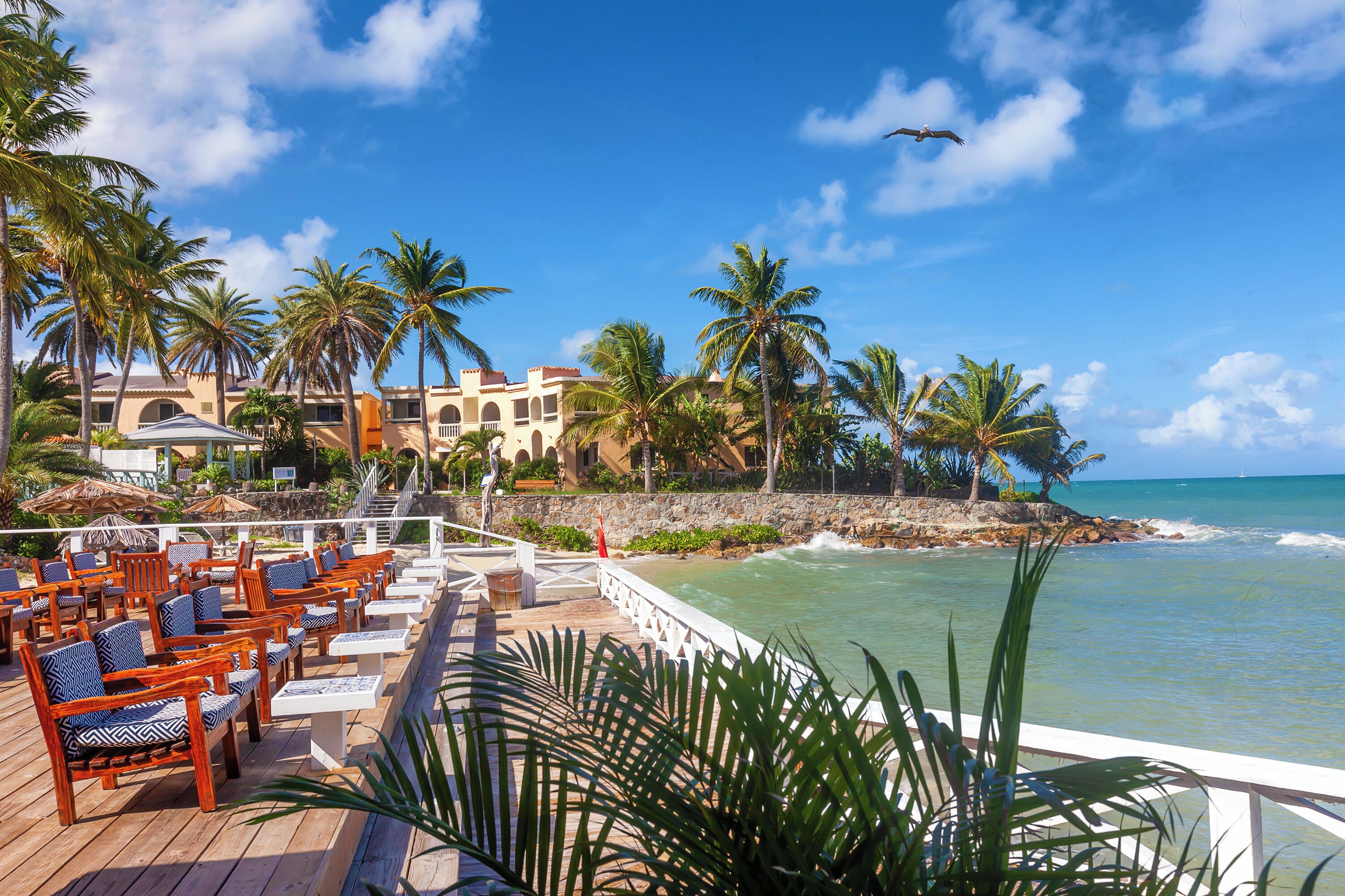 A beachside resort with outdoor seating, palm trees, and a view of the ocean.