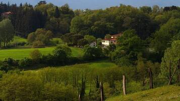 A rural house surrounded by lush greenery and trees.