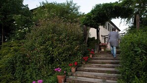 A stone staircase leading up to a building, surrounded by lush greenery and potted plants. - Agriturismo La Topaia (Borgo San Lorenzo)