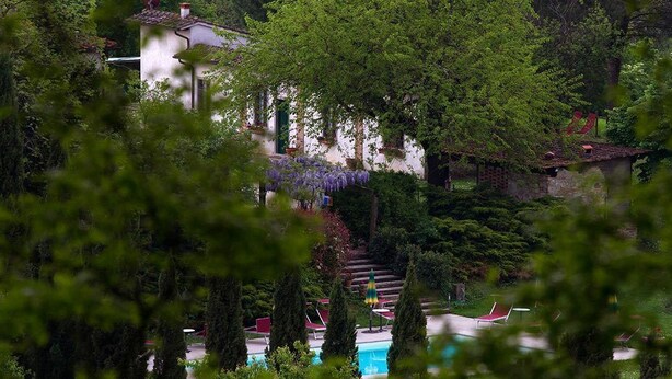 A lush garden with a pool, a staircase, and a building with a white facade. - Agriturismo La Topaia (Borgo San Lorenzo)