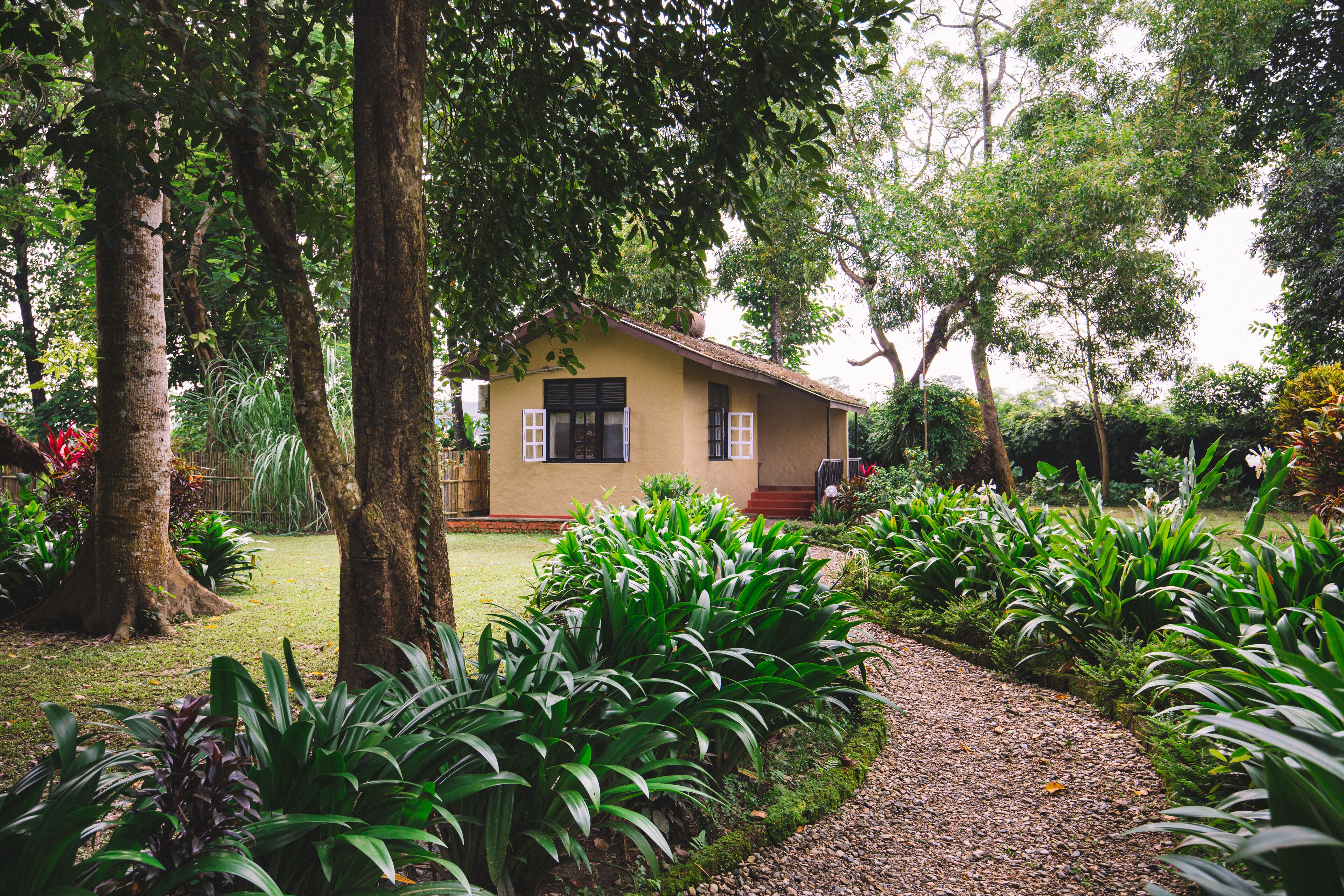 A house surrounded by lush greenery and a gravel path.