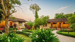 A courtyard with two buildings, a gravel path, and lush greenery. - GREEN MANSIONS JUNGLE RESORT (Sauraha)