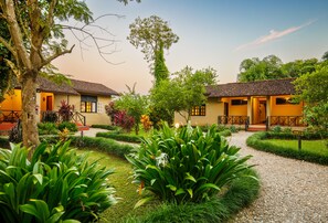 Property grounds - GREEN MANSIONS JUNGLE RESORT (Sauraha)