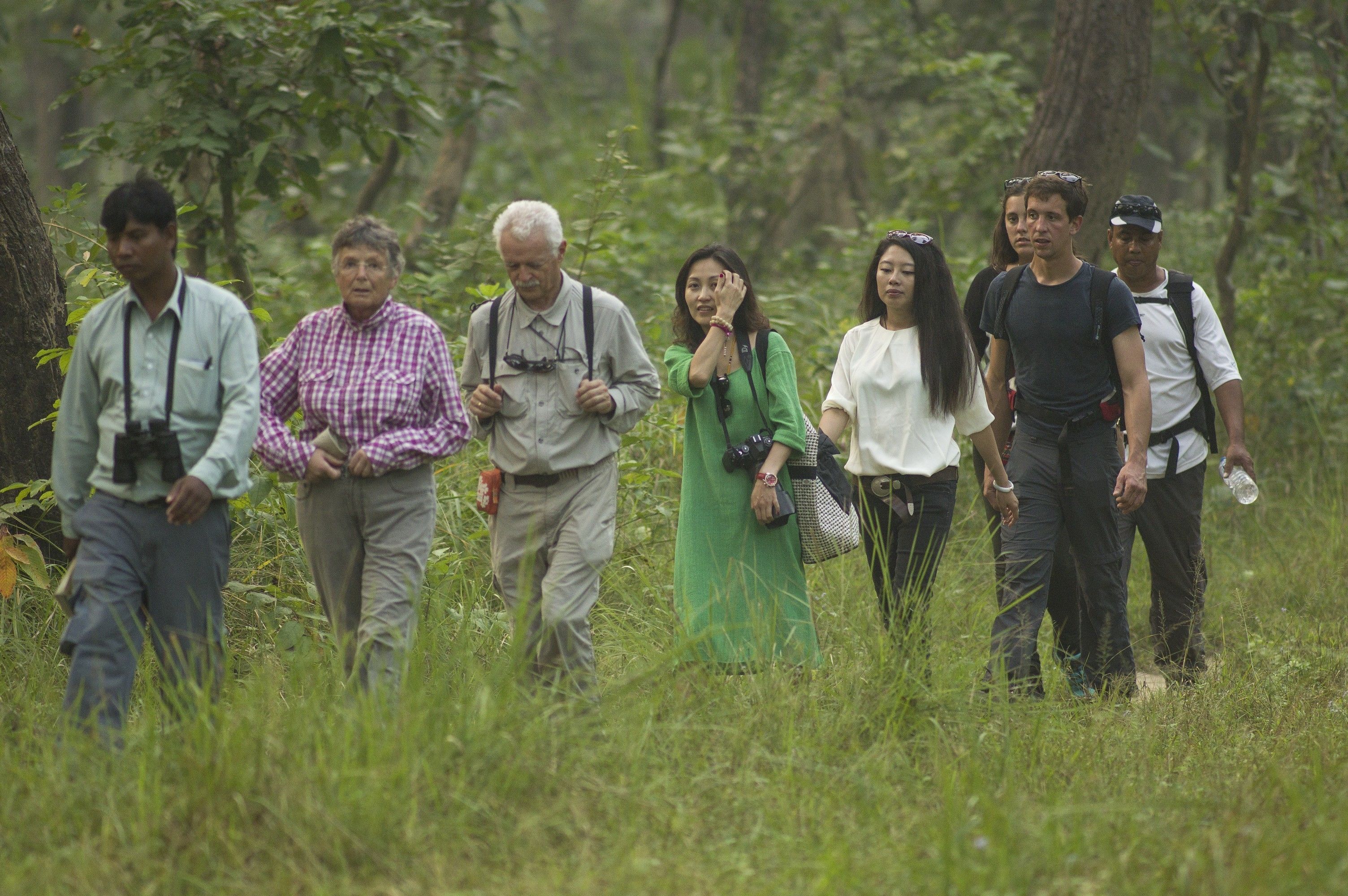 A group of people walking through a grassy area with trees in the background.