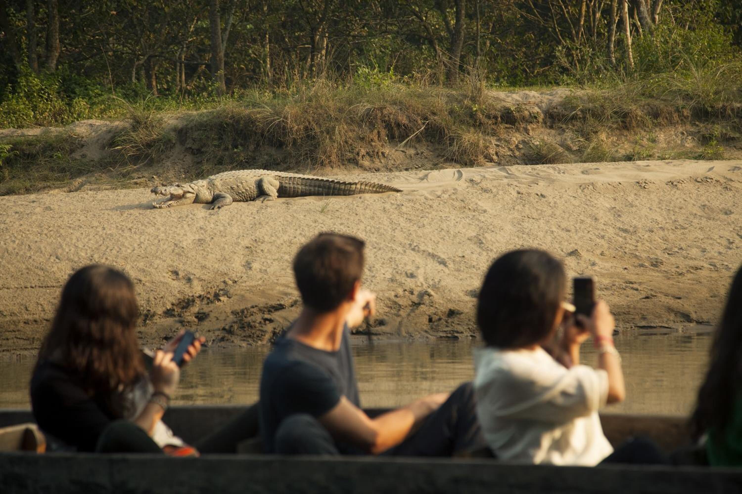 Un crocodile se repose sur une berge sablonneuse, près d’une étendue d’eau, tandis que des personnes, en arrière-plan, l’observent et prennent des photos.