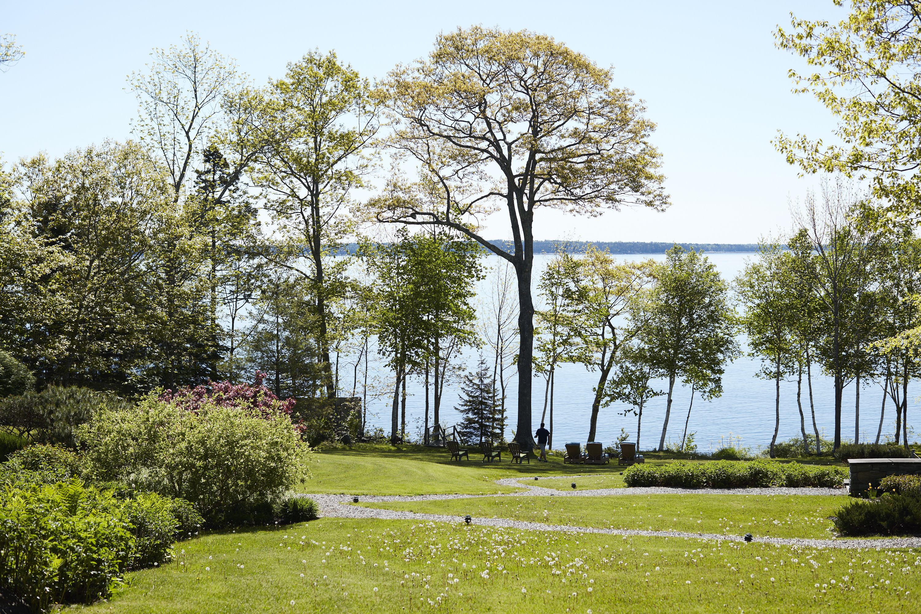 A park with a lake, benches, and walking paths.