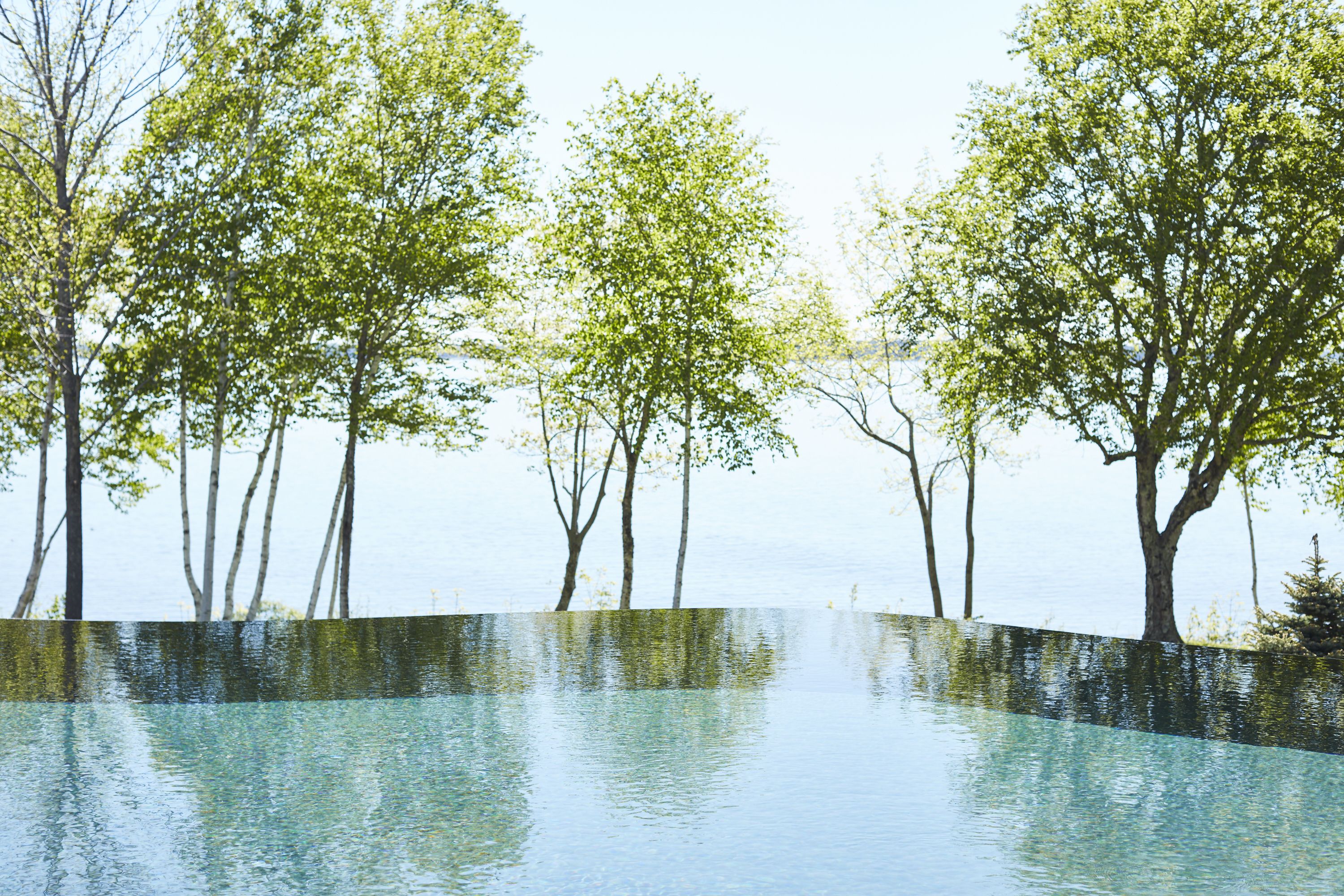 An infinity pool with a view of trees and water.