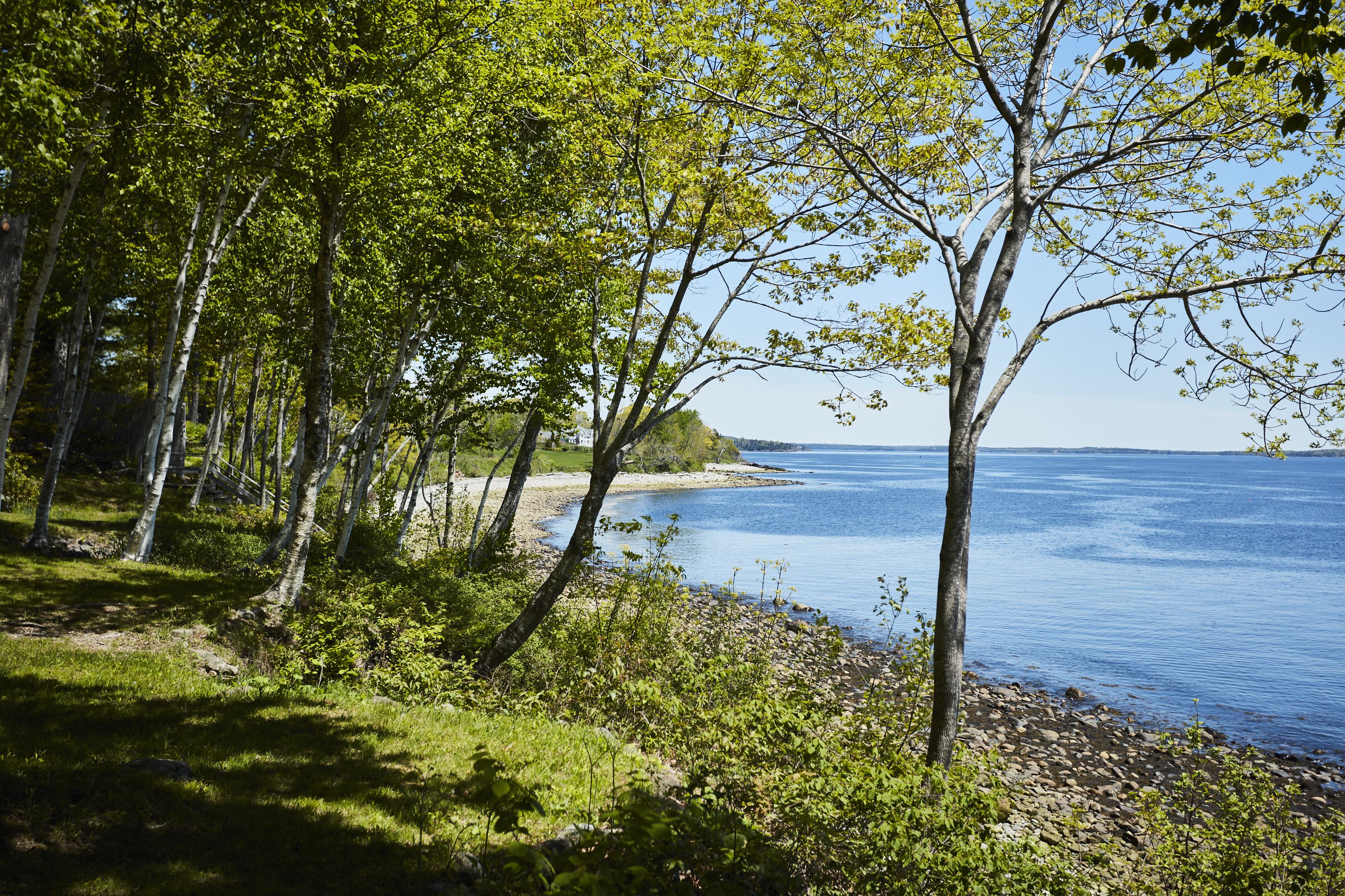 A serene lakeside view with trees and a clear sky.
