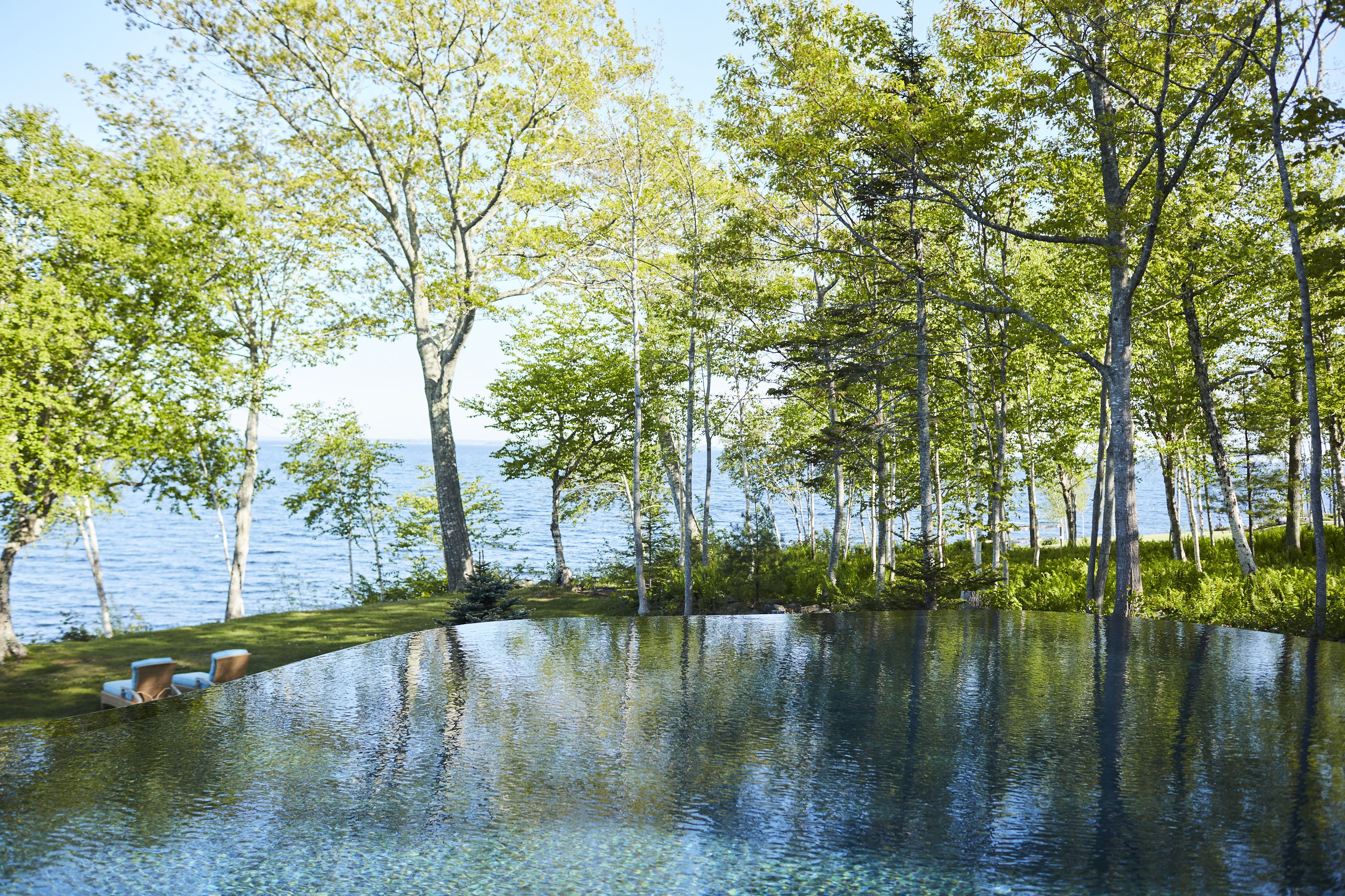 A serene outdoor setting with a clear view of a lake, surrounded by lush greenery and trees.