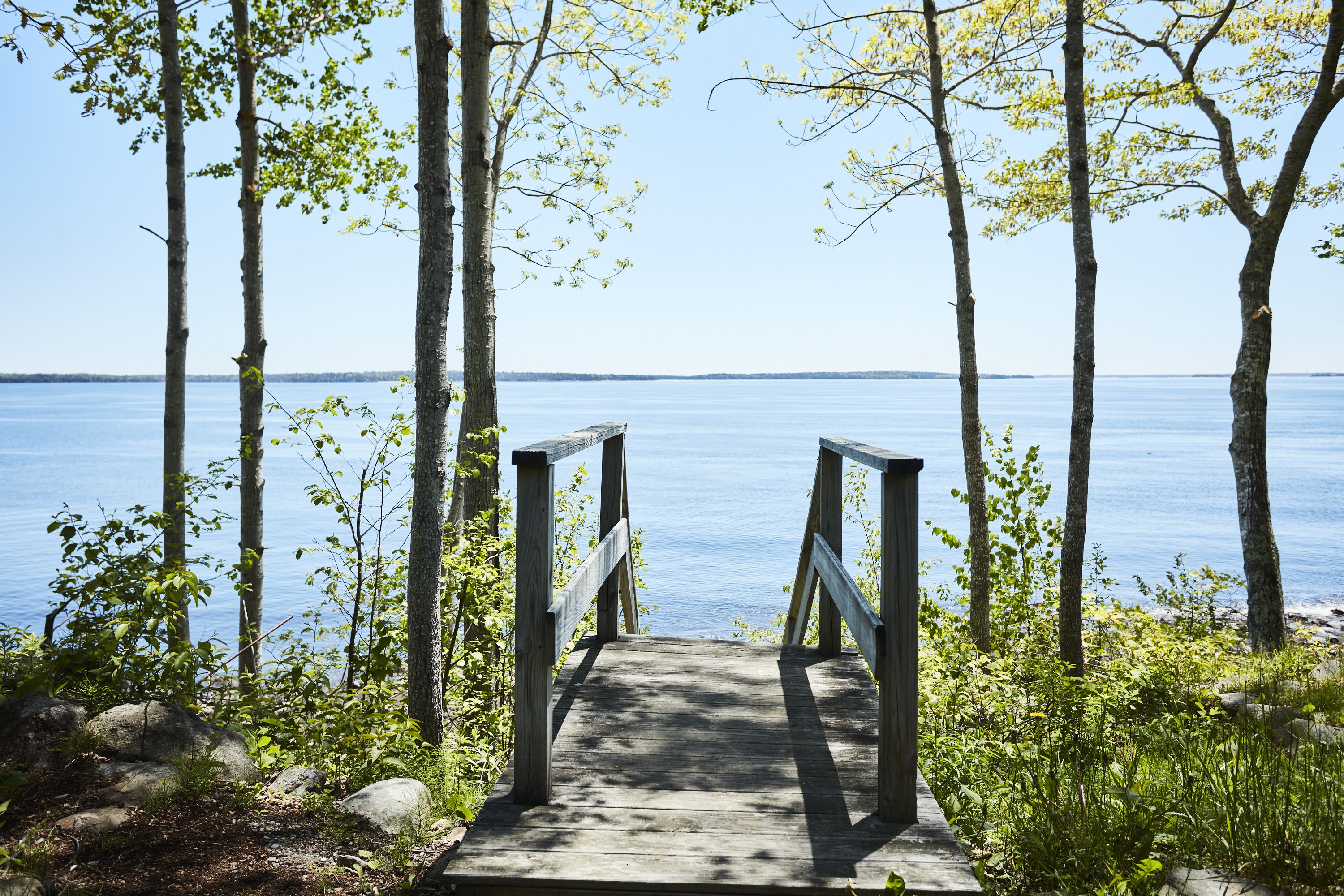 A wooden pathway leading to a body of water, surrounded by trees and rocks.