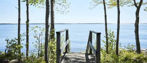 A wooden pathway leading to a body of water, surrounded by trees and rocks.