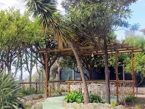 Terrace/patio - Hotel Residence Villa Marinù (Forio)