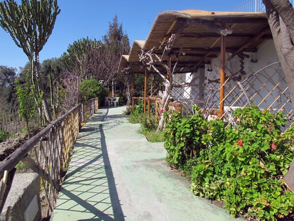 A pathway leading to a rustic building with a thatched roof, surrounded by greenery and a wooden fence.