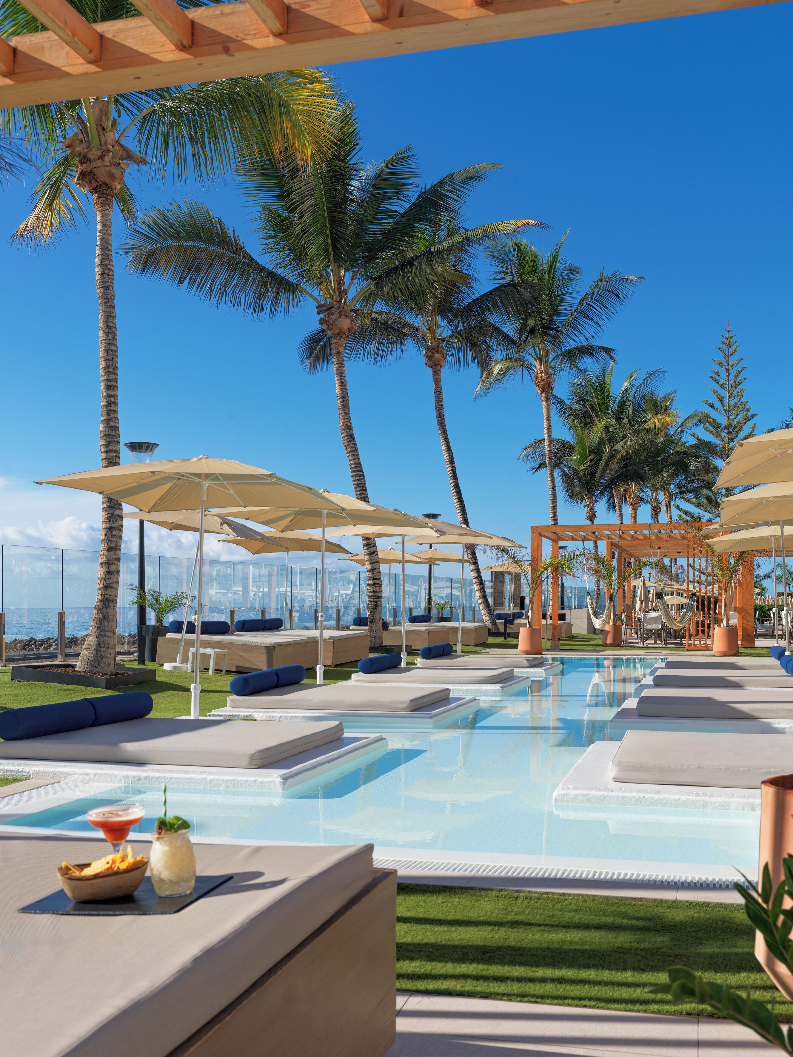Un espace piscine aménagé avec des chaises longues, des parasols et des palmiers.