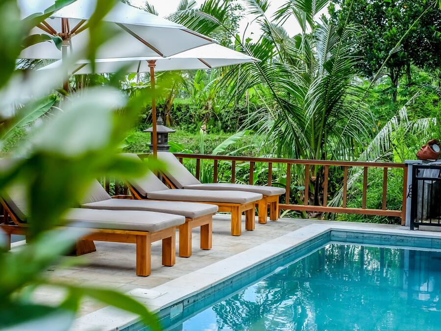 Zona de piscina con sillones de descanso y sombrillas, rodeada de exuberante vegetación.