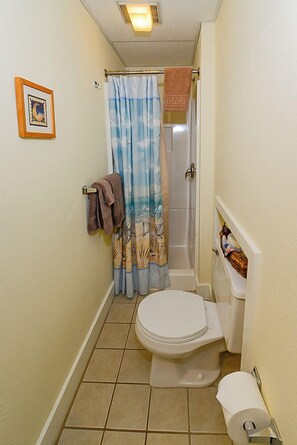 Comfort Room | Bathroom | Free toiletries, hair dryer, towels, soap