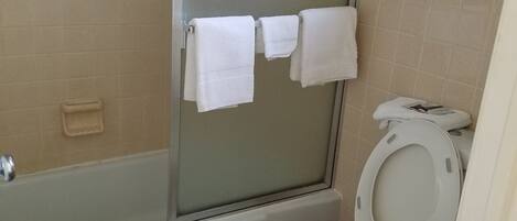 Un baño con ducha, inodoro y puerta de vidrio.