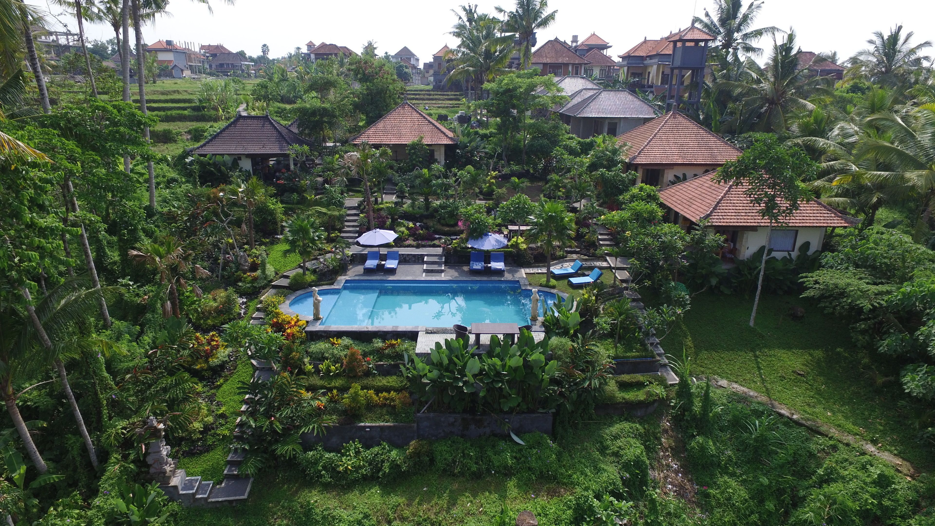 Photo - Villa Capung Mas Ubud