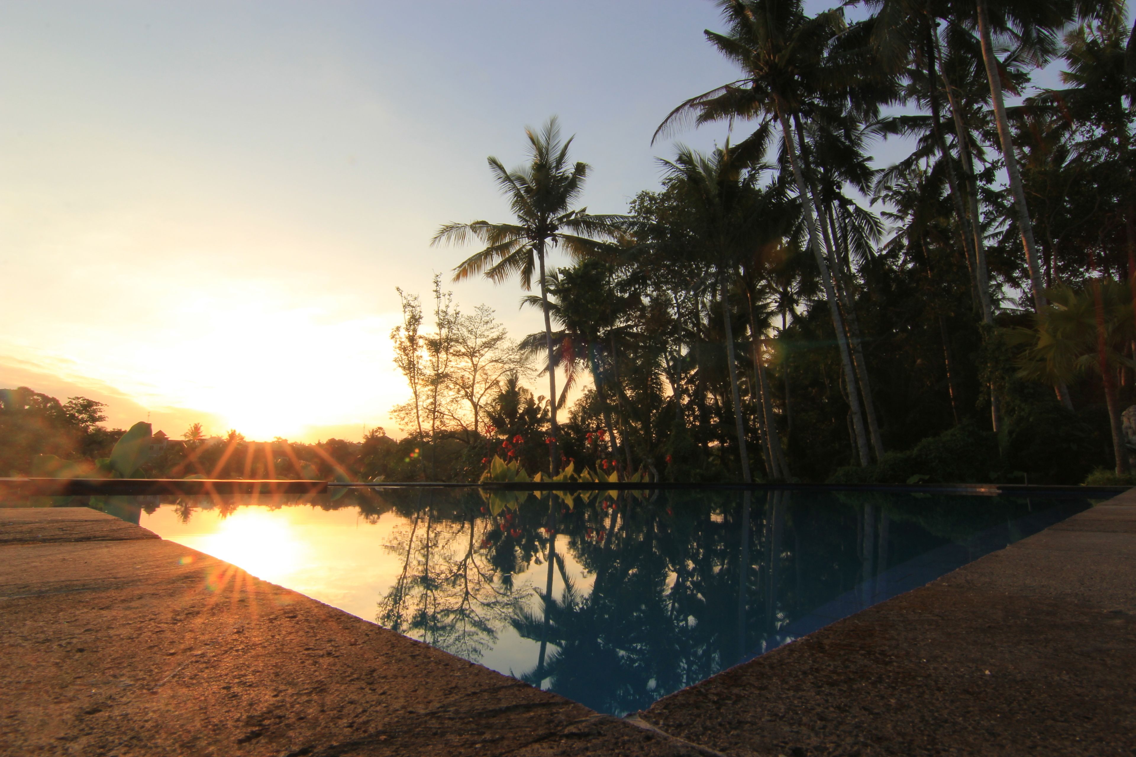Photo - Villa Capung Mas Ubud