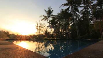 Un atardecer sobre una piscina tranquila con palmeras al fondo.