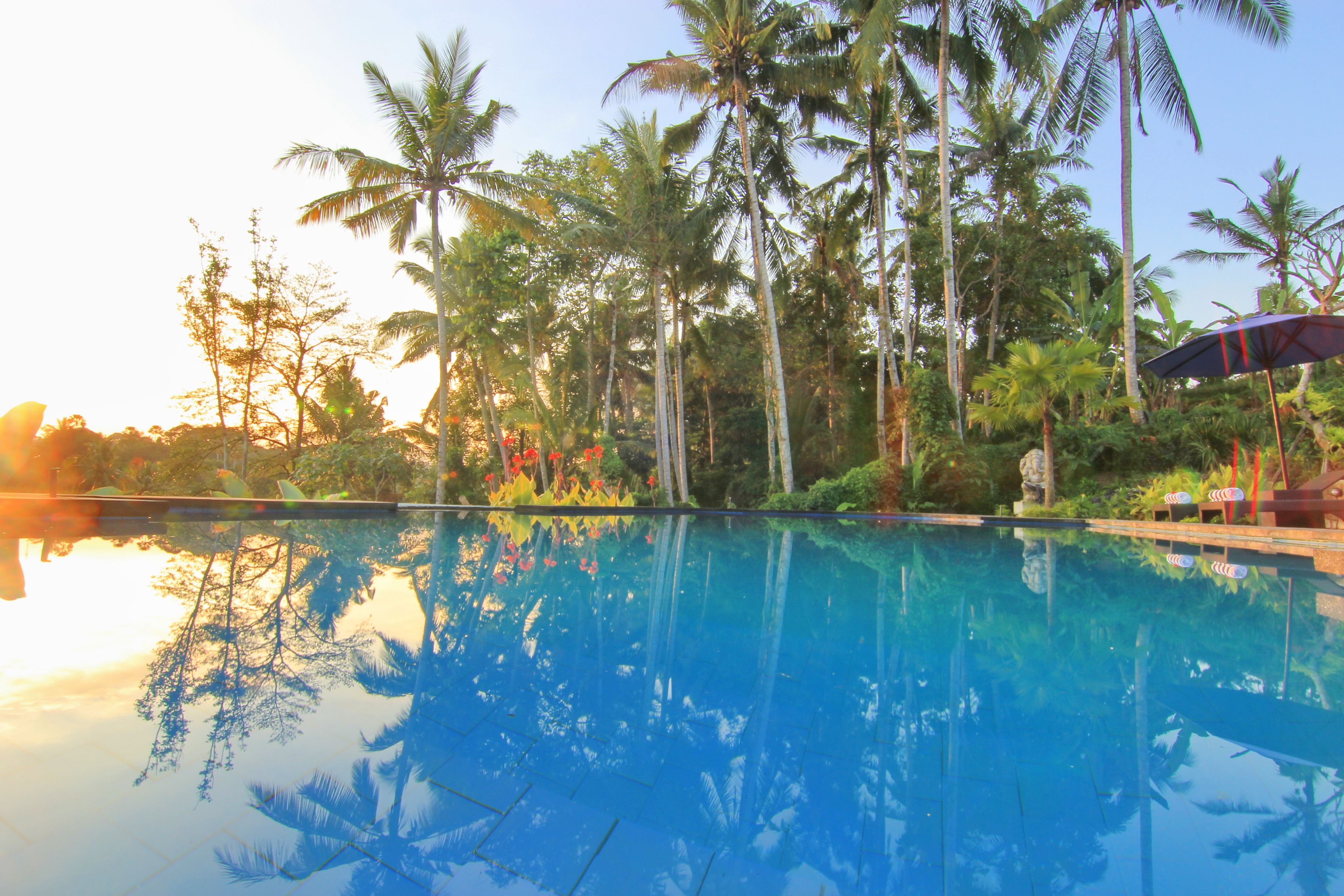 Photo - Villa Capung Mas Ubud