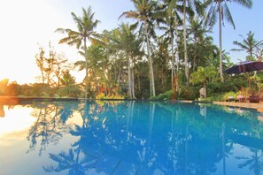 Outdoor pool - Villa Capung Mas (Ubud)