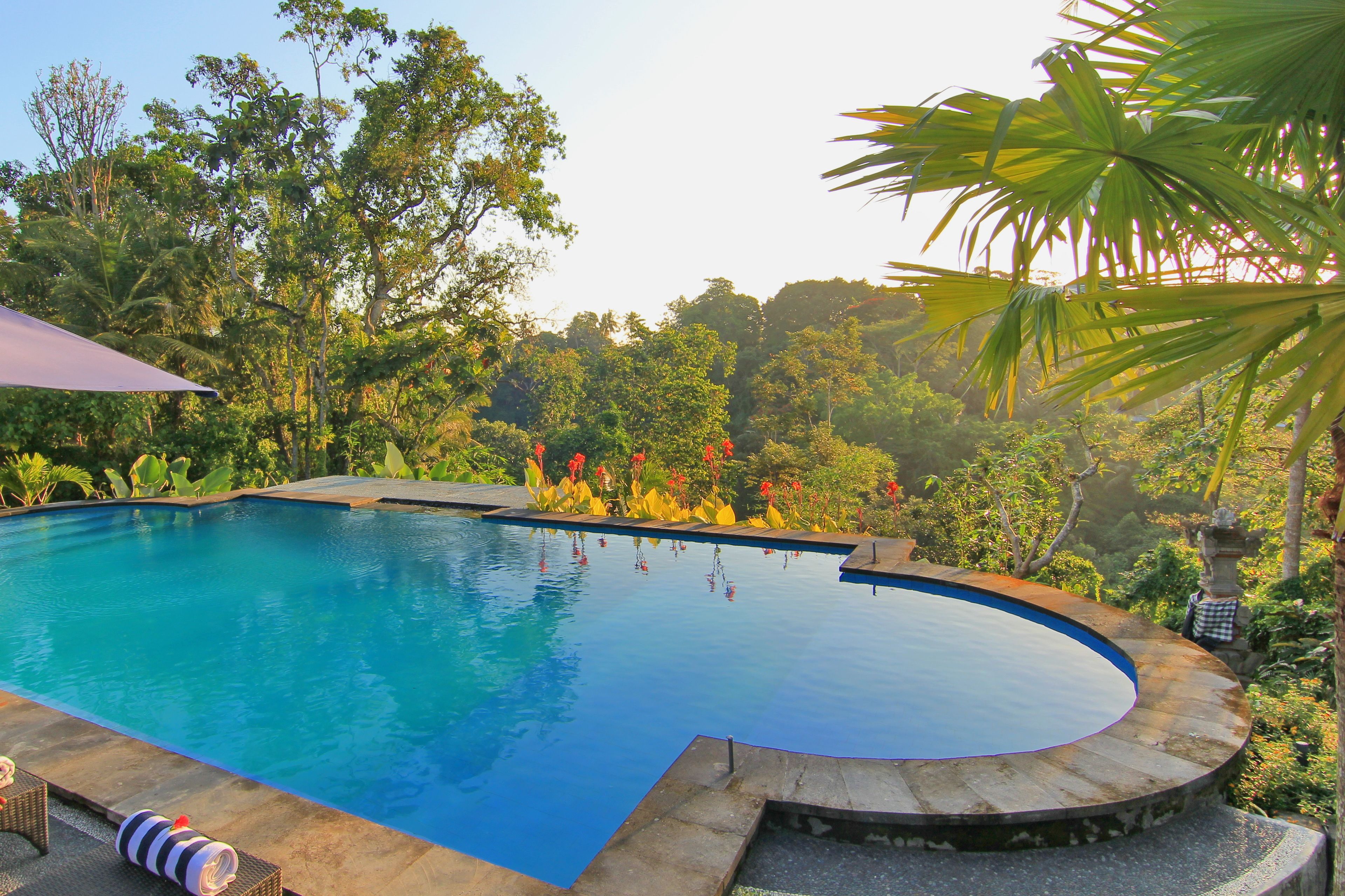 Photo - Villa Capung Mas Ubud