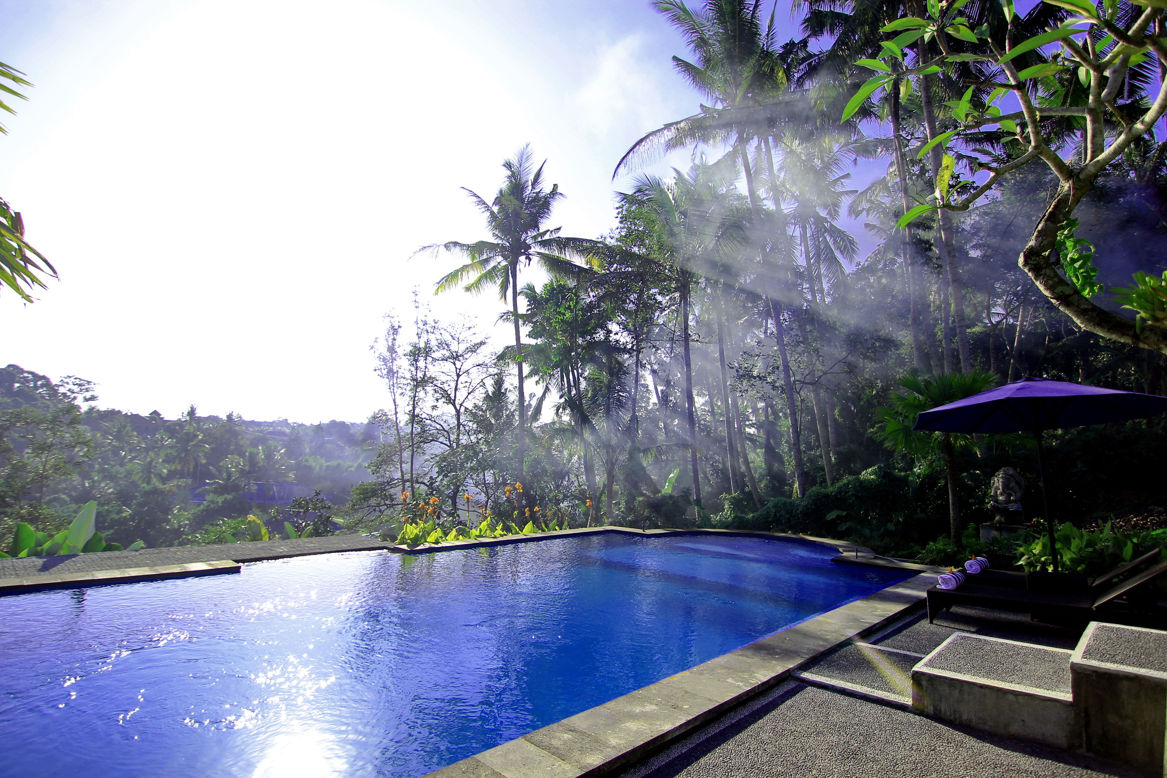 Photo - Villa Capung Mas Ubud