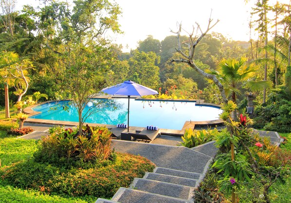 Outdoor pool - Villa Capung Mas (Ubud)