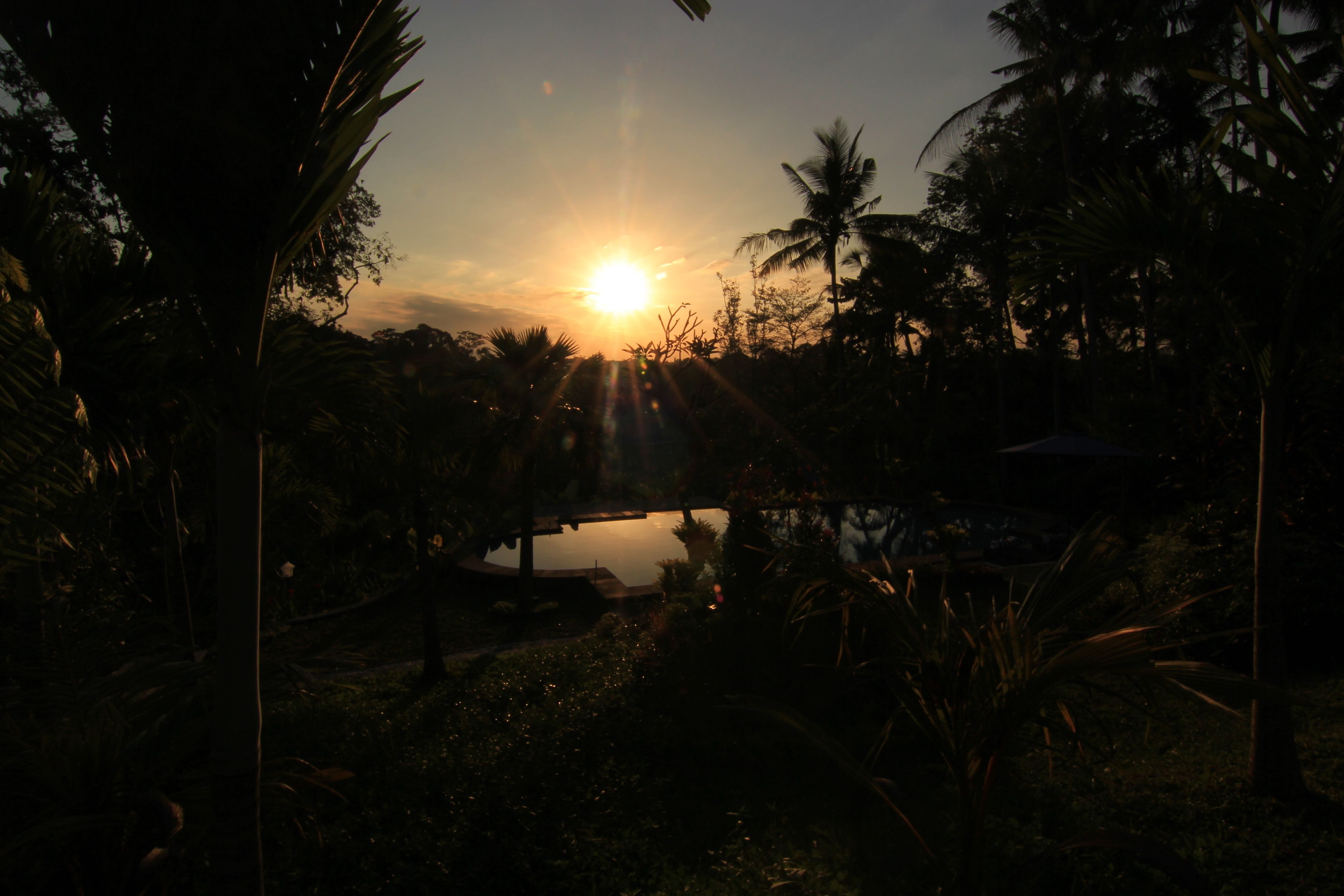 Photo - Villa Capung Mas Ubud