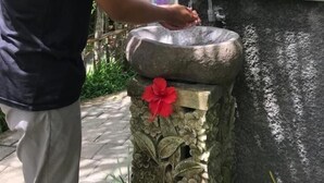 A person washing hands at a stone sink with a red flower decoration, surrounded by greenery. - Lili Cottage Ubud (Ubud)