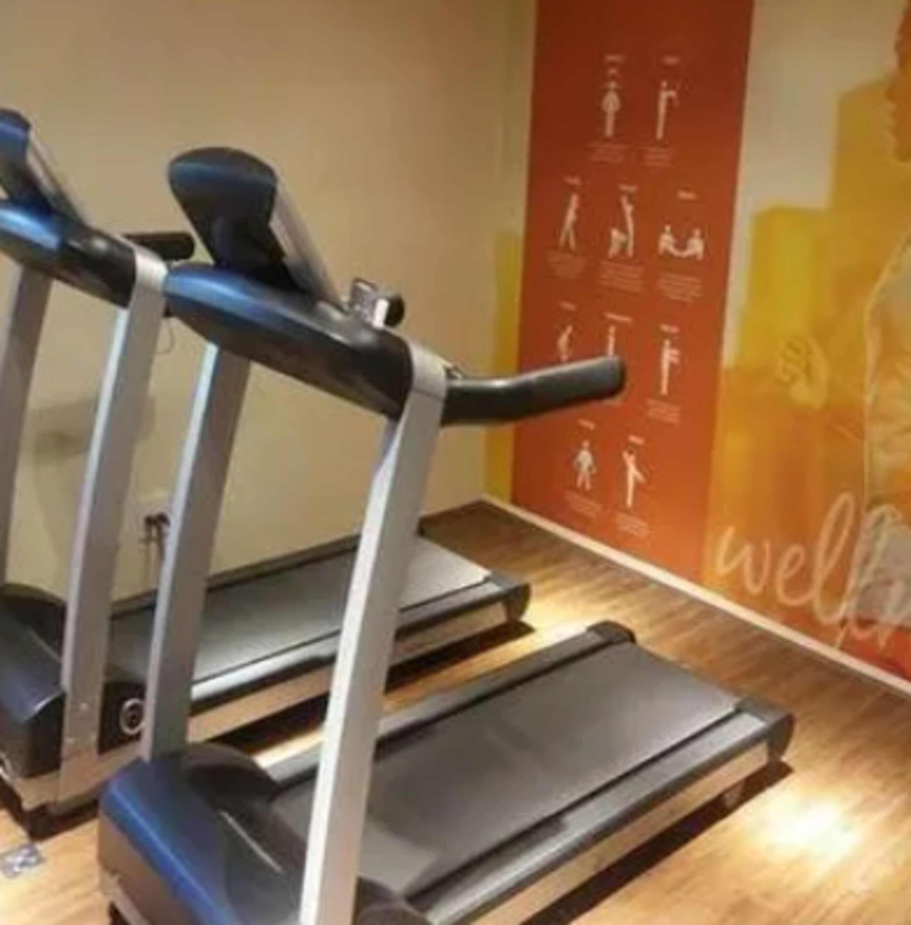 A gym with treadmills and a wall with fitness illustrations.