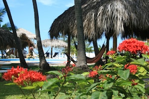 Un complexe hôtelier tropical doté de palmiers, d’un hamac et d’un espace piscine.