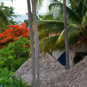 Exterior - Azul Surf Club (El Cuco)