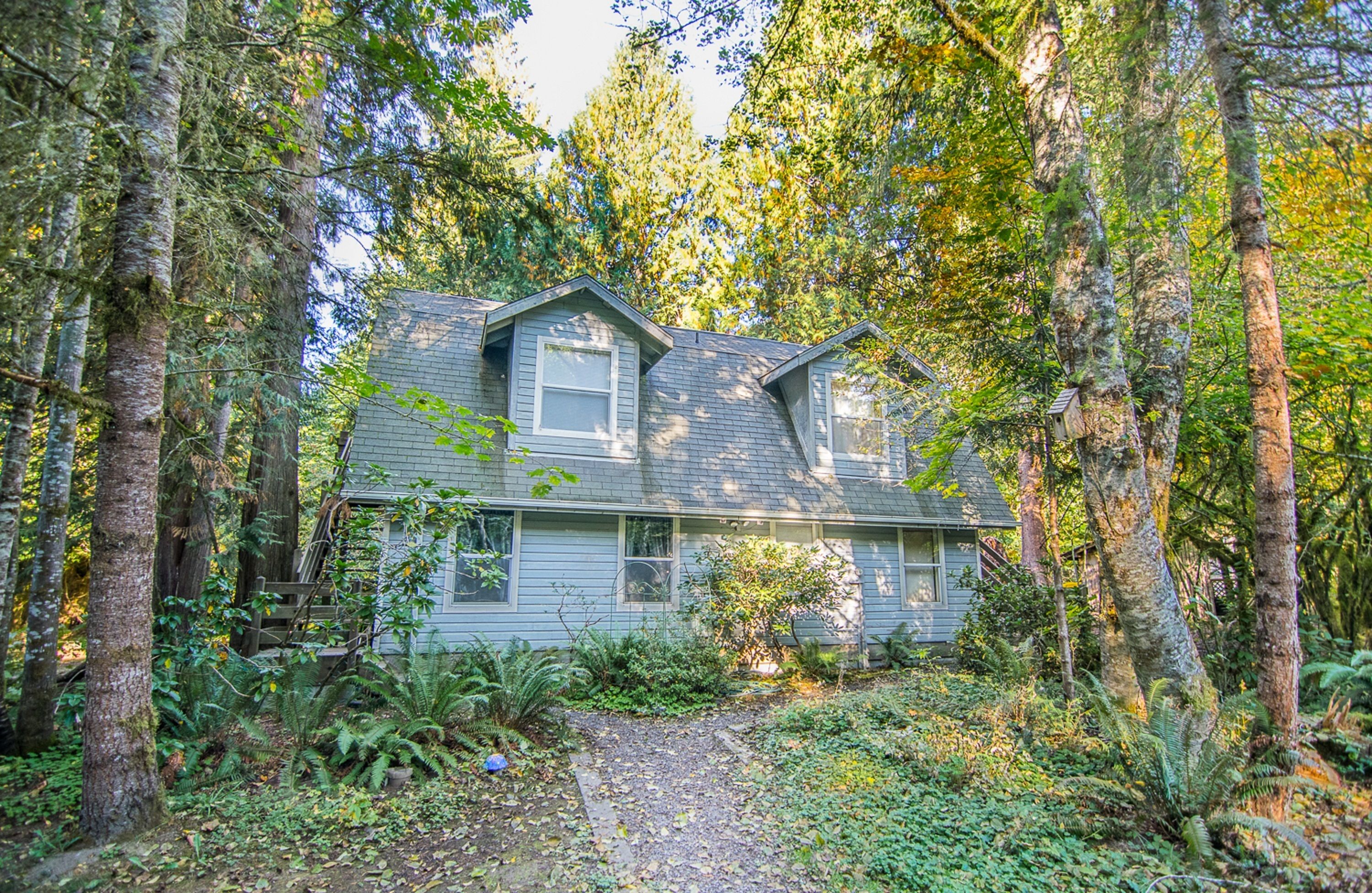 A house surrounded by dense forest.