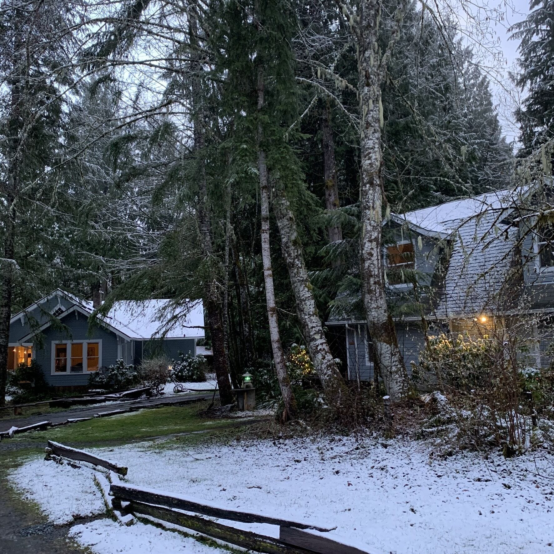 Una casa rodeada de árboles altos con nieve en el suelo.