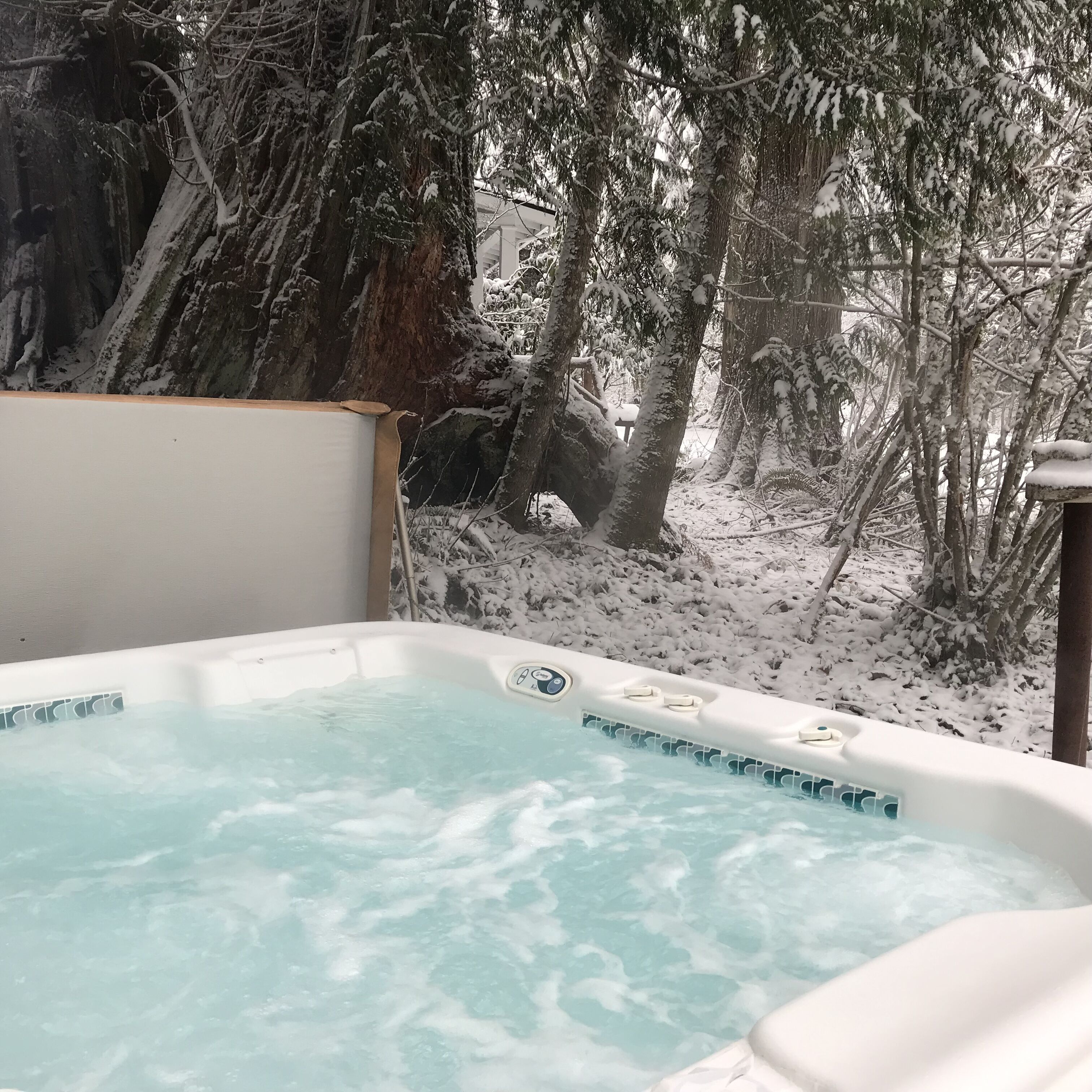 Uma banheira de hidromassagem com vista para árvores cobertas de neve e uma parede de pedra.