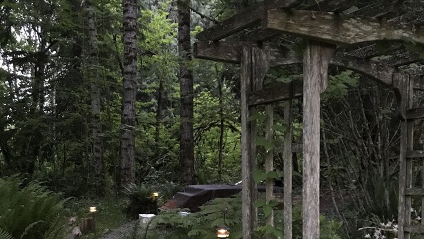 Um jardim arborizado com pérgola de madeira, caminho de pedra e flores brancas.