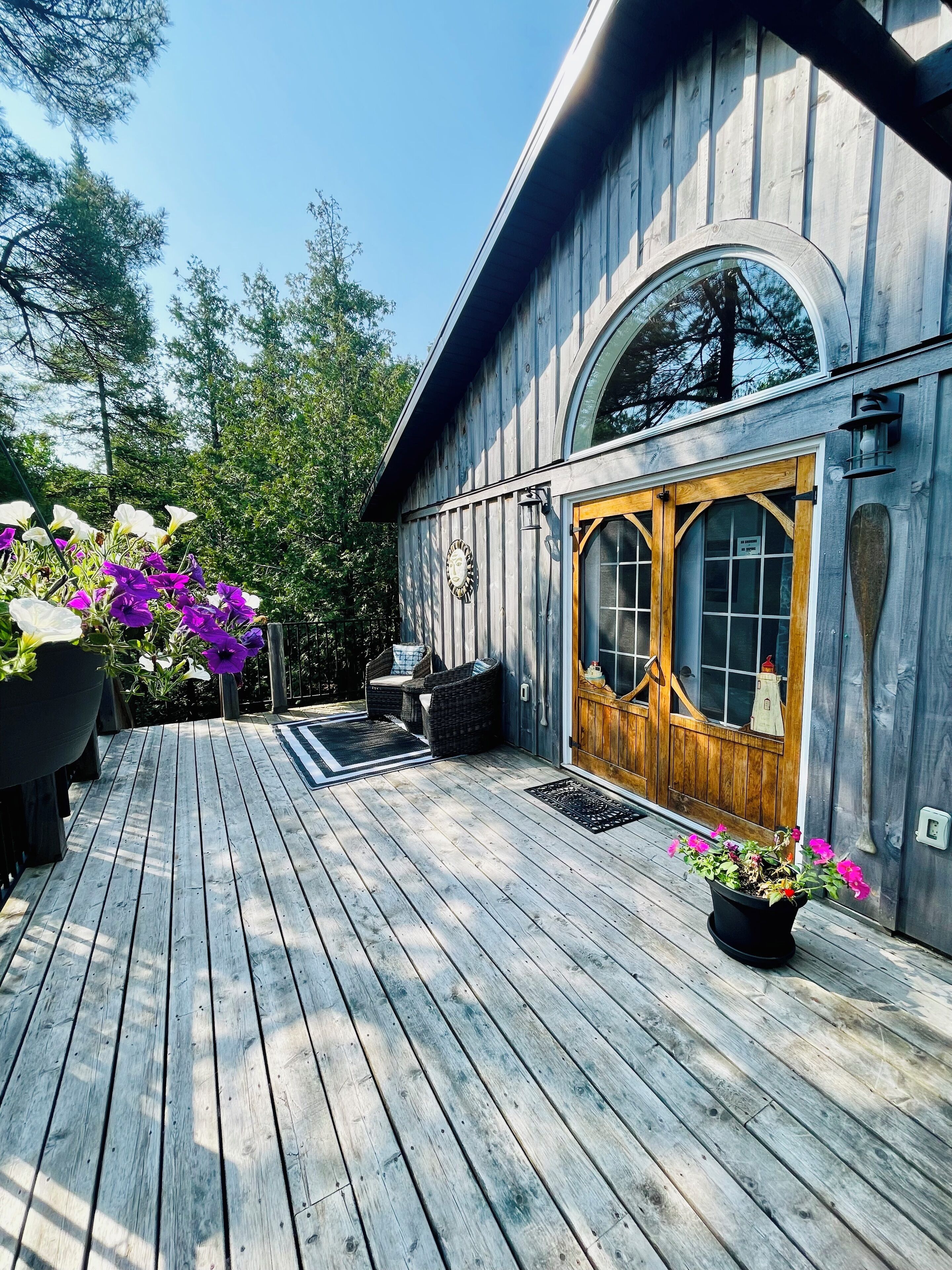 Une terrasse en bois agrémentée d’une grande plante en pot et d’une plus petite près de l’entrée.